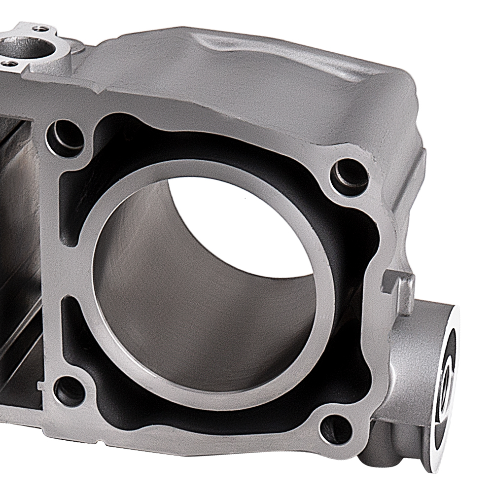 Piston Cylinder Assembly for Polaris ATP 500 4X4 2004-2005 3085371 with Gaskets