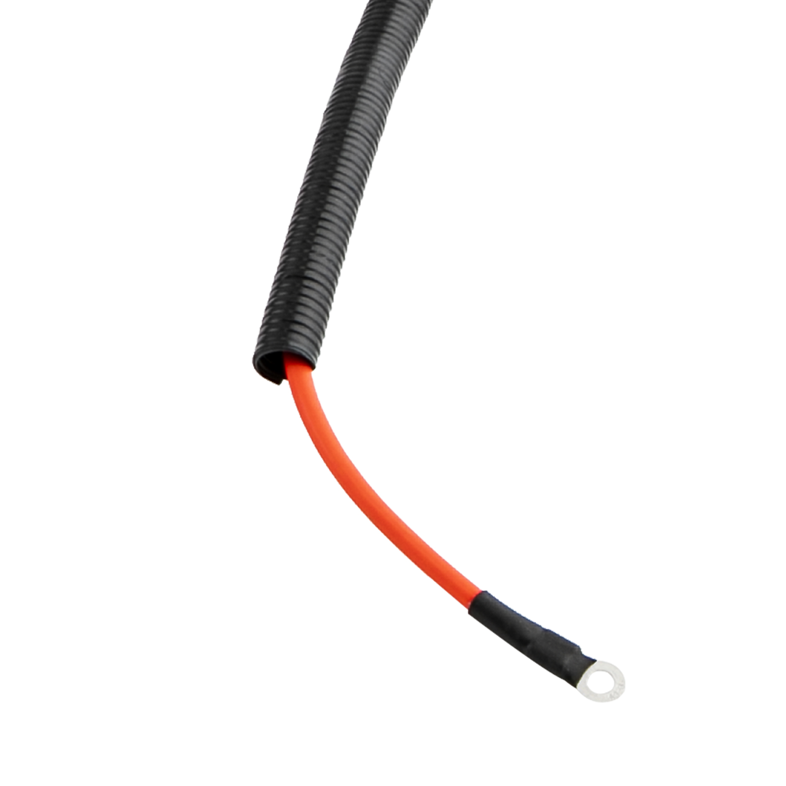 Engine Wiring Harness For Ford 6.0L F250 F350 F450 F550 Super Duty 3C3Z12B637BA